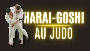 Illustration Harai Goshi