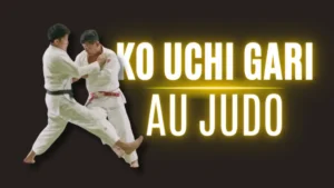 Illustration Ko Uchi Gari