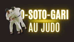 Illustration O-Soto-Gari