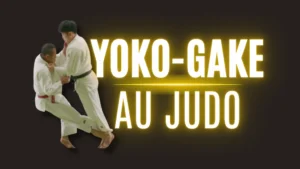 Illustration Yoko-Gake