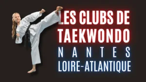 Illustration Liste des Clubs de Taekwondo à Nantes et en Loire-Atlantique 44