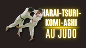 Illustration Harai-Tsuri-Komi-Ashi