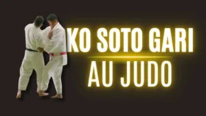 Illustration Ko-Soto Gari