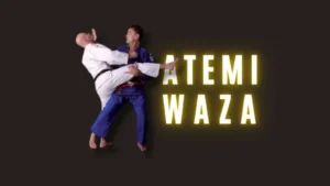 Illustration Atemi-Waza