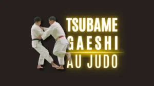 Illustration Tsubame-Gaeshi
