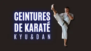 Illustration Ceintures de Karaté