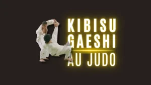 Illustration Kibisu-Gaeshi