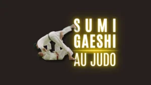 Illustration Sumi-Gaeshi