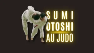 Illustration Sumi-Otoshi