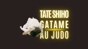 Illustration Tate-Shiho-Gatame