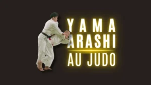 Illustration Yama Arashi