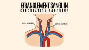 Illustration Circulation Sanguine