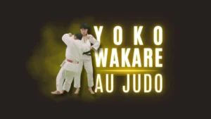 Illustration Yoko-Wakare