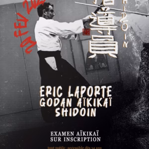 Affiche Stage D'Aïkido à Mont-de-Marsan Animé par Eric Laporte 2027