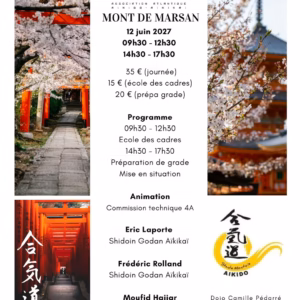 Affiche Stage D'Aïkido à Mont-de-Marsan Animé par Eric Laporte et Frédéric Rolland et Moufid Hajjar 2027