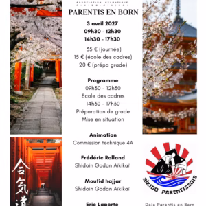 Affiche Stage D'Aïkido à Parentis-en-Born Animé par Frédéric Rolland et Moufid Hajjar et Eric Laporte 2027