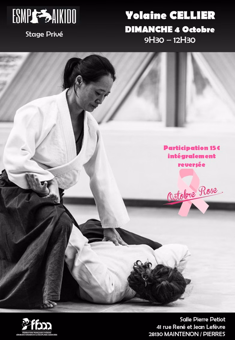 Affiche Stage D'Aïkido à Pierres Animé par Yolaine Cellier 2026