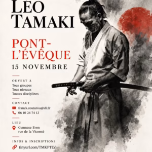 Affiche Stage D'Aïkido à Pont-L'Évêque Animé par Léo Tamaki 2026
