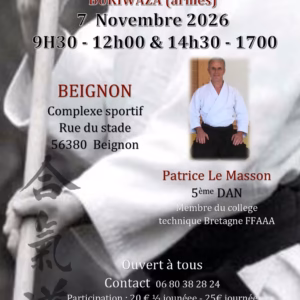 Affiche Stage D'Aïkido à Beignon Animé par Patrice le Masson 2026