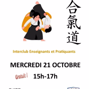 Affiche Stage D'Aïkido à Mérignac Animé par Frédéric Guiraud 2026