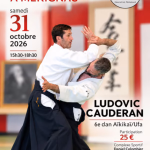 Affiche Stage D'Aïkido à Mérignac Animé par Ludovic Cauderan 2026