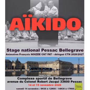 Affiche Stage D'Aïkido à Pessac Animé par François Noizee 2026